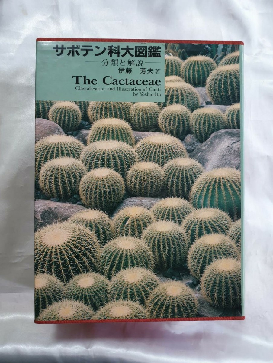 分類と解説 サボテン科大図鑑 伊藤芳夫 サボテン科大図鑑 分類と解説