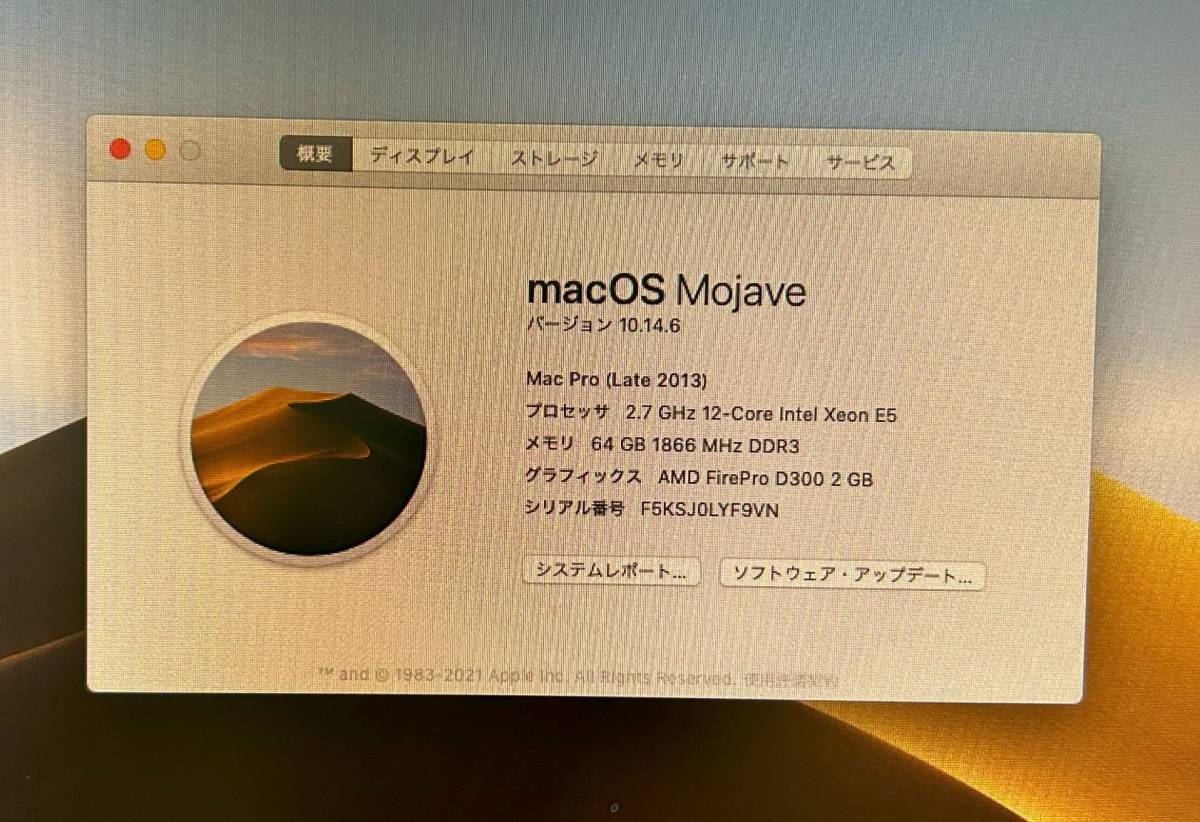 Apple Mac Pro Late 2013 E5-2697v2-64GB-D300x2 Pro Mac Apple Dual