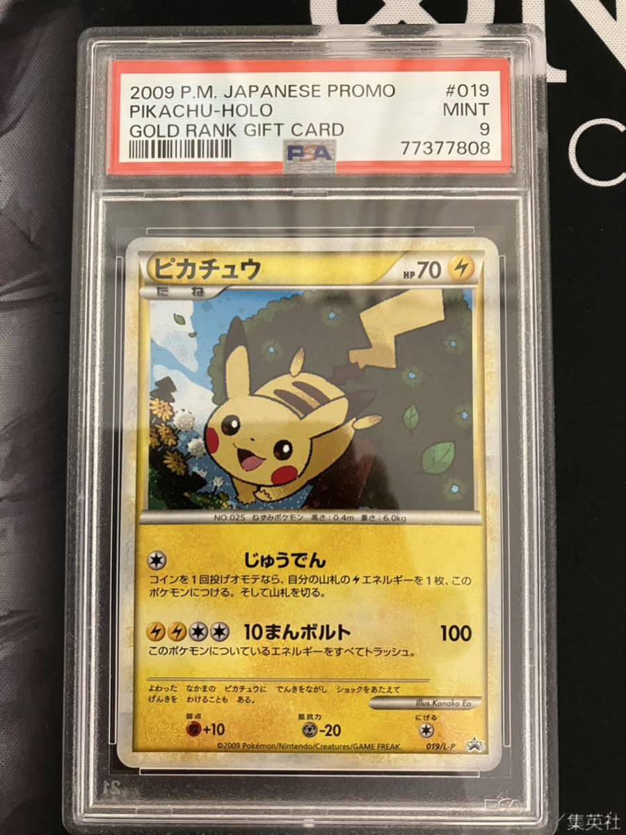 ポケモンカード 大量 リザードン カメックス フシギバナ 引退 ピチュ