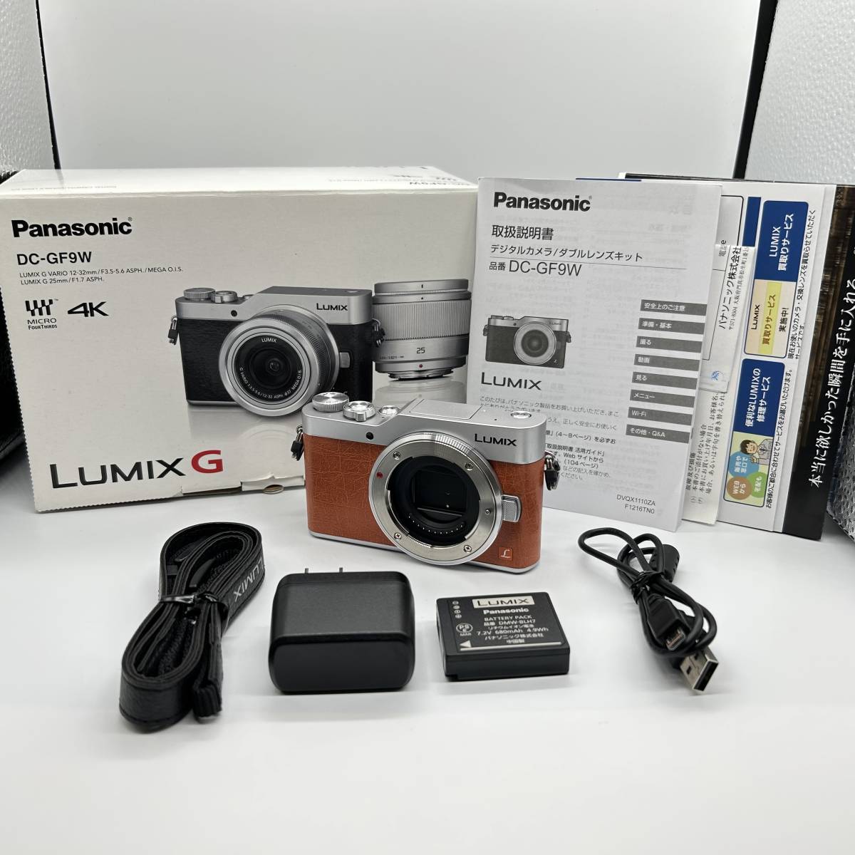 LUMIX GF9 ダブルレンズキット SDカード付き すぐ使える Panasonic