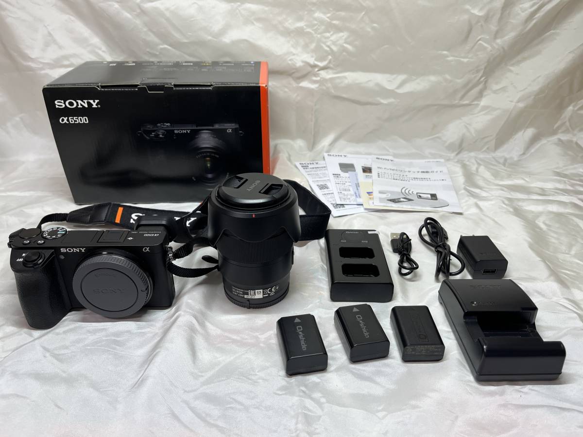 α6500 高倍率ズームレンズキット 野球・サッカーママ必見！ソニー 020