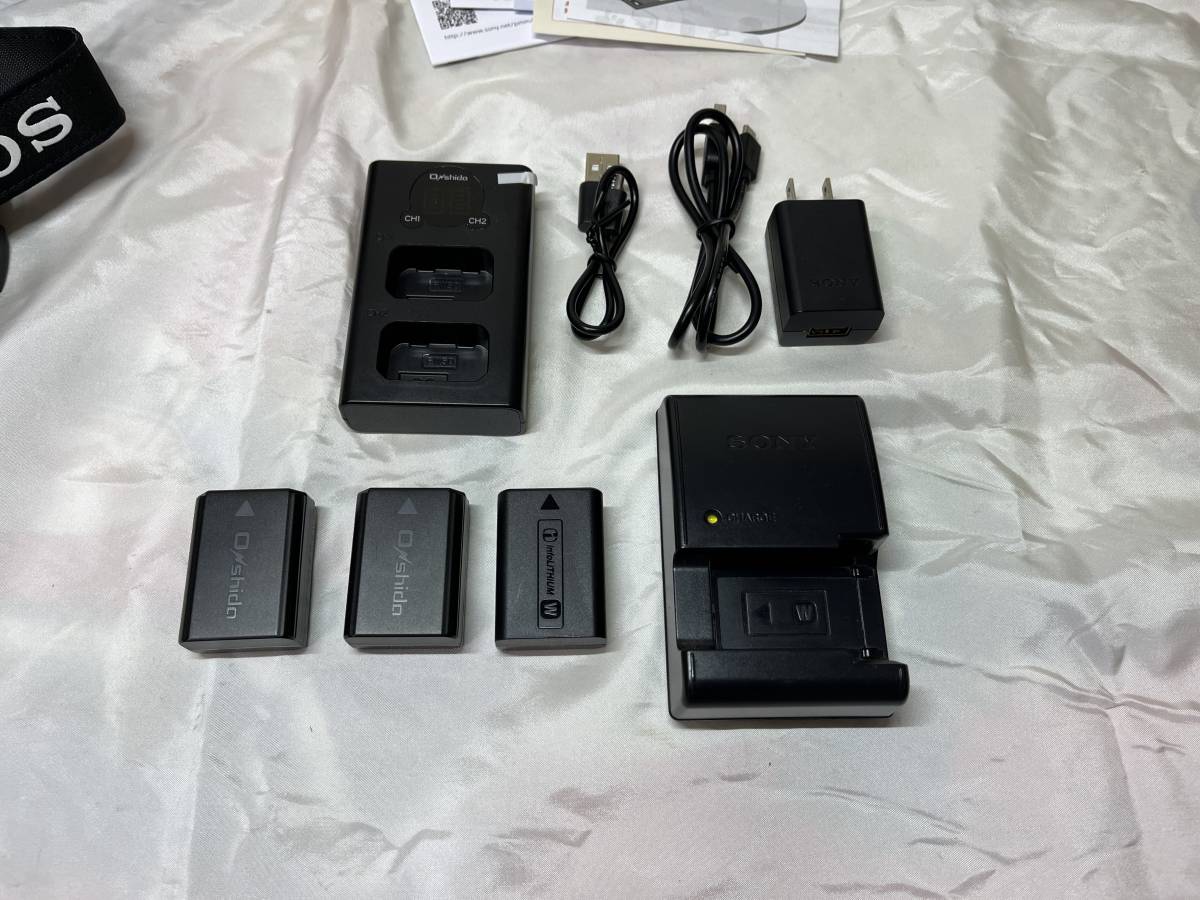 α6500 高倍率ズームレンズキット 野球・サッカーママ必見！ソニー 020
