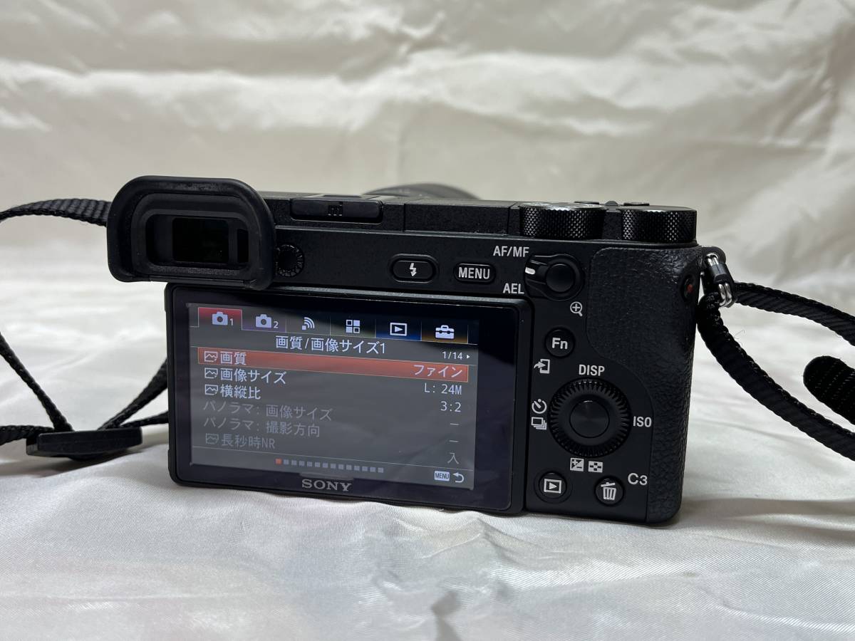 α6500 高倍率ズームレンズキット 野球・サッカーママ必見！ソニー 020