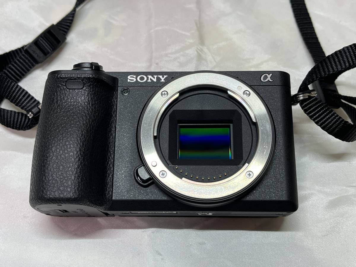 α6500 高倍率ズームレンズキット 野球・サッカーママ必見！ソニー 020