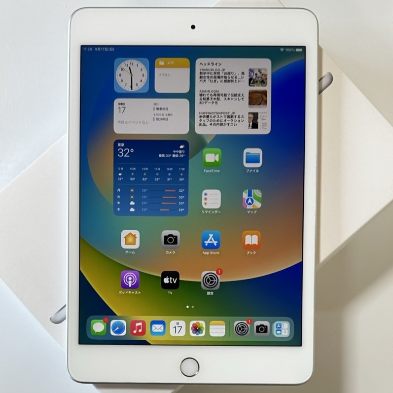 極美品Apple iPad mini 第5世代 Wi-Fi 256GB 極美品iPadmini ( 極美品Apple iPad mini 第5世代 Wi-Fi 256GB 極美品iPadmini (