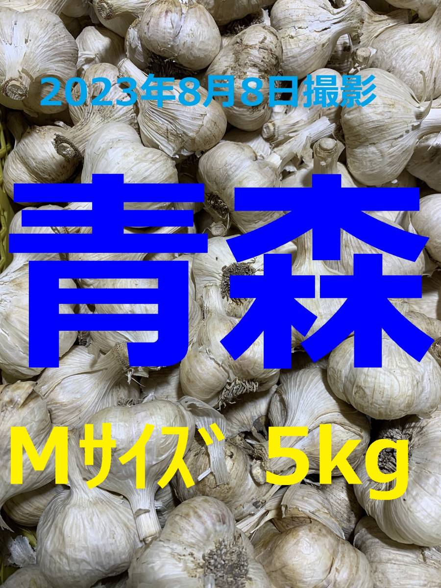 青森県産にんにく5kg Mサイズ ニンニク5キロ ホワイト6片種 訳