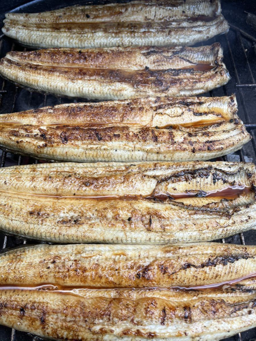 特大鰻］［国産うなぎ］［特大6尾］愛知県 三河一色産 鰻 炭焼き 送料無料