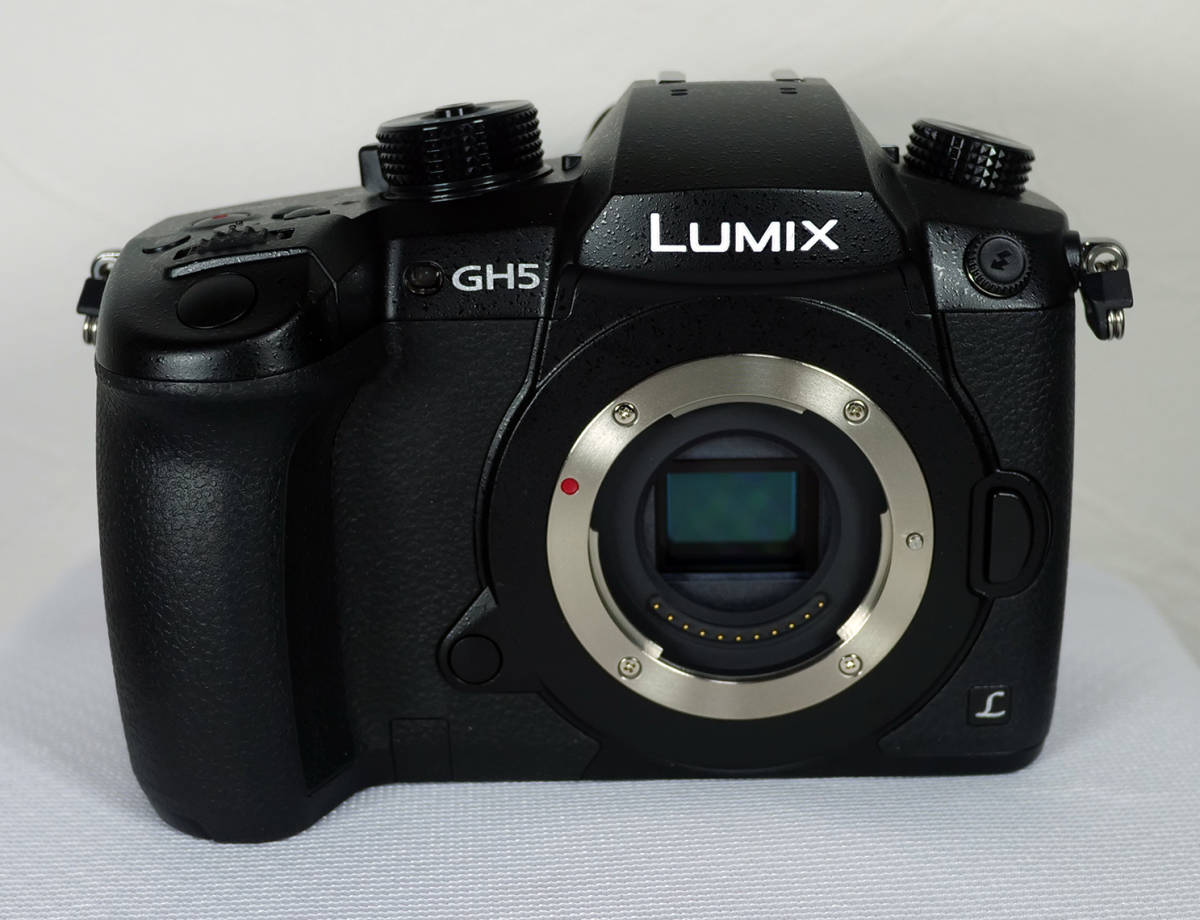☆ジャンク品☆ Panasonic LUMIX RD-SPM049 (筐体にGH5とありますが 