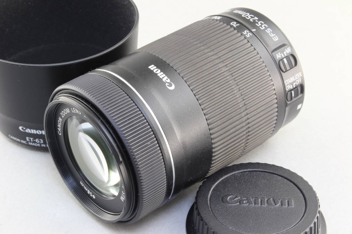 AA (極上美品) Canon キャノン EF-S 55-250mm F4-5.6 IS STM 初期不良返品無料 領収書発行可能