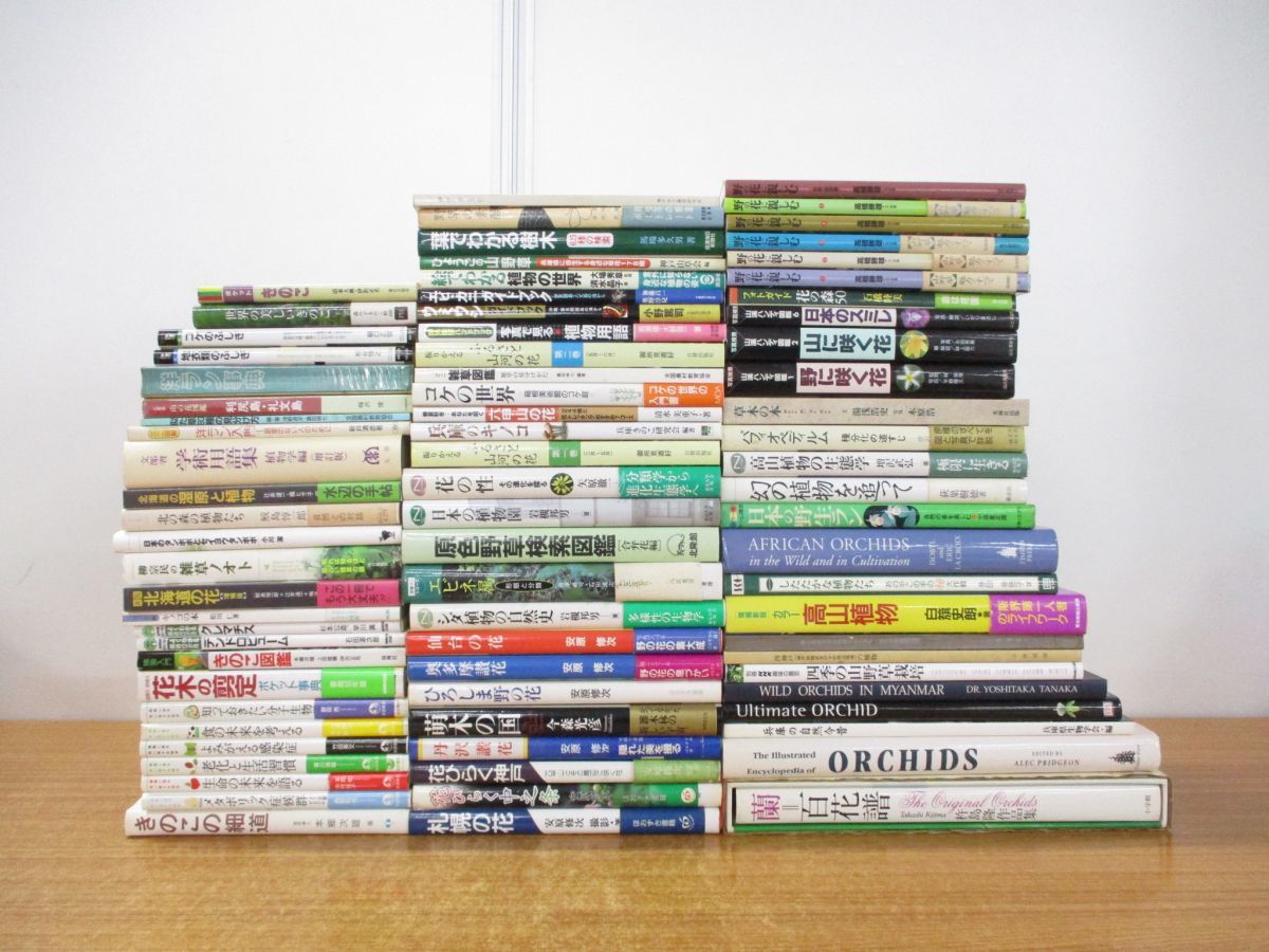 牧野富太郎 植物記 全2巻セット 桜井書店版/バベル社/正・続 植物記(全