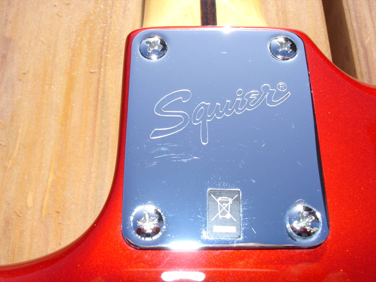2013年製 Squier Vintage Modified MUSTANG DUNCAN DESIGNED PU 2基  