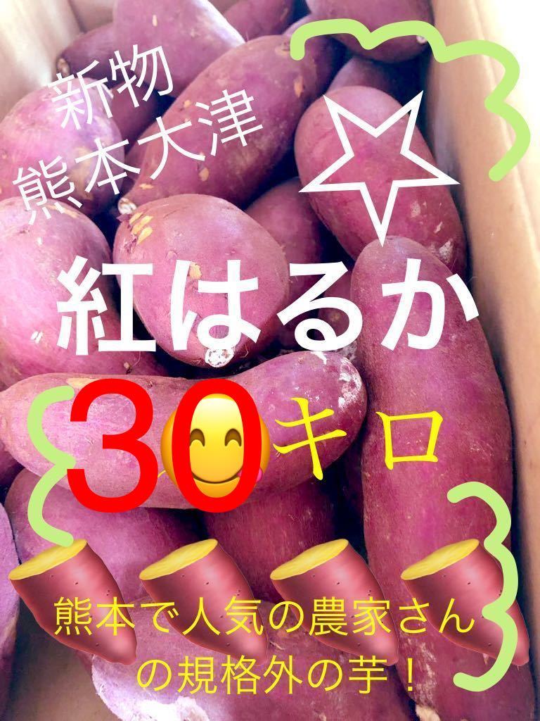 紅はるか 冷凍焼き芋 スミフルの美味しいマルシェ 1.5kg(500g×3袋