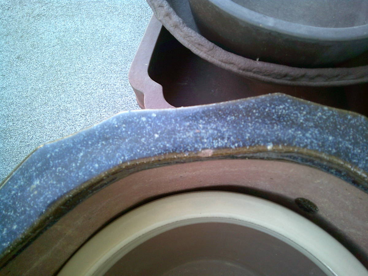 s1078503005.1