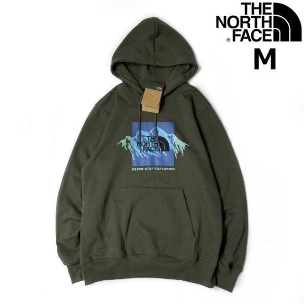 1円～!売切!正規新品THE NORTH FACE◇NOV GRAPHIC HOODIE プル