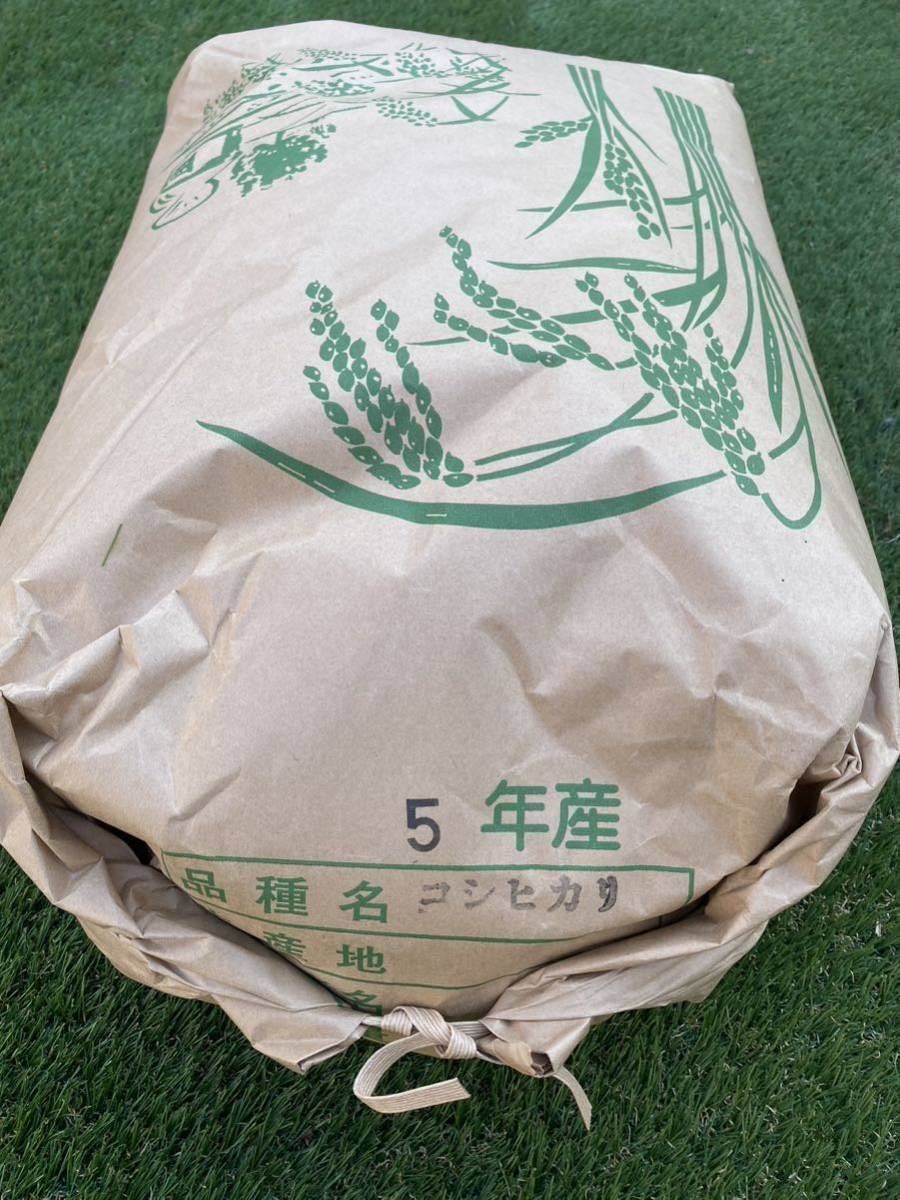 玄米 令和5年 コシヒカリ 玄米30kg 精米無料 送料別 千葉県産 送料・