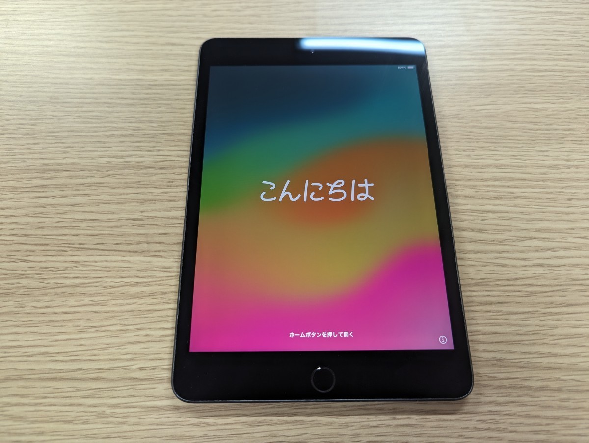 Apple iPad mini 第5世代 WiFi 64GB スペースグレイ 難あり iPad mini