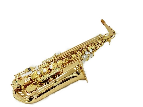 Festi Tiara A アルト サックス ソフトケース付き 管楽器 フェスティ