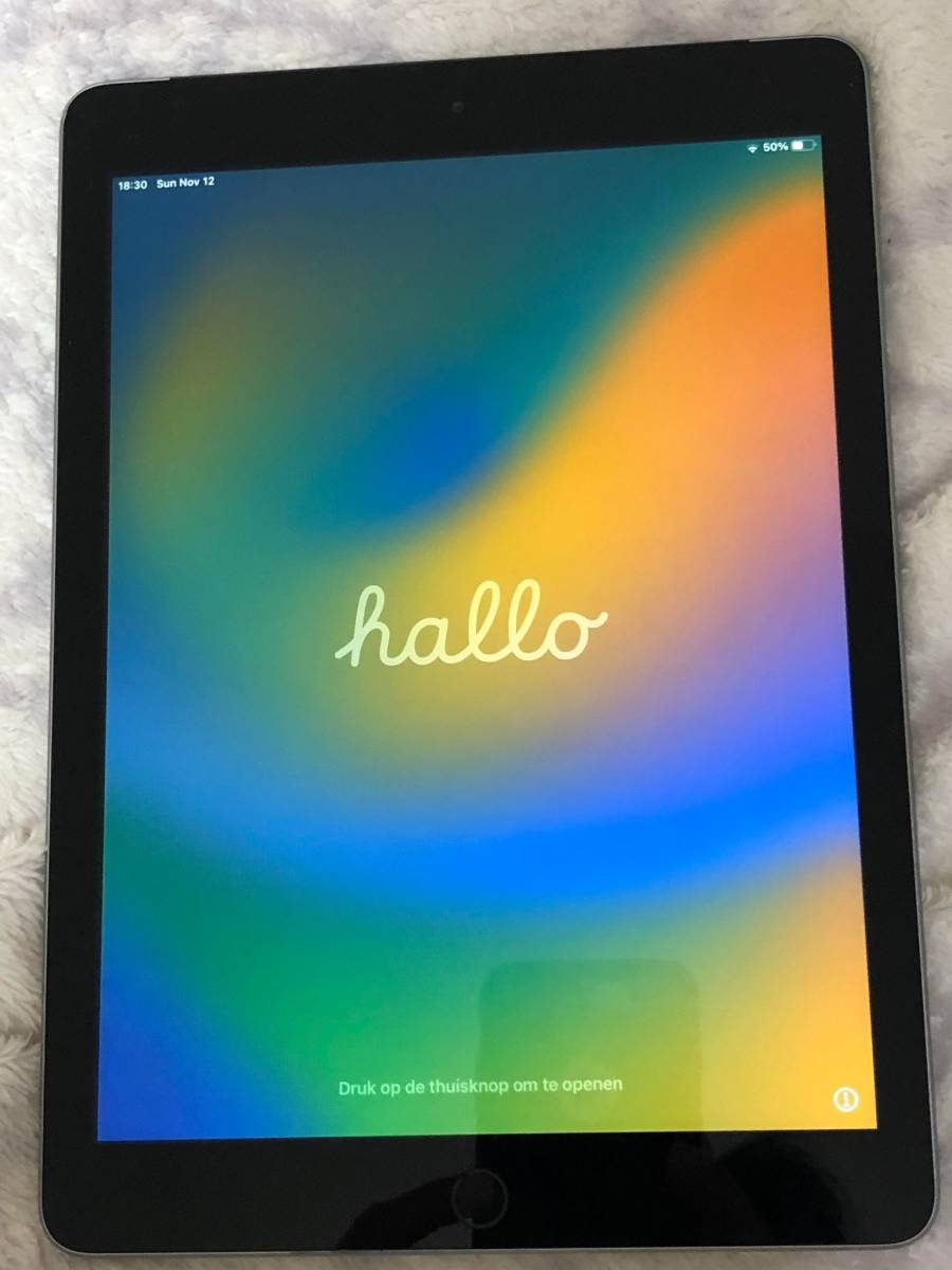 iPad (第 5 世代) Docomo Wi-Fi + Cellular 32GB ジャンク A1823 アク