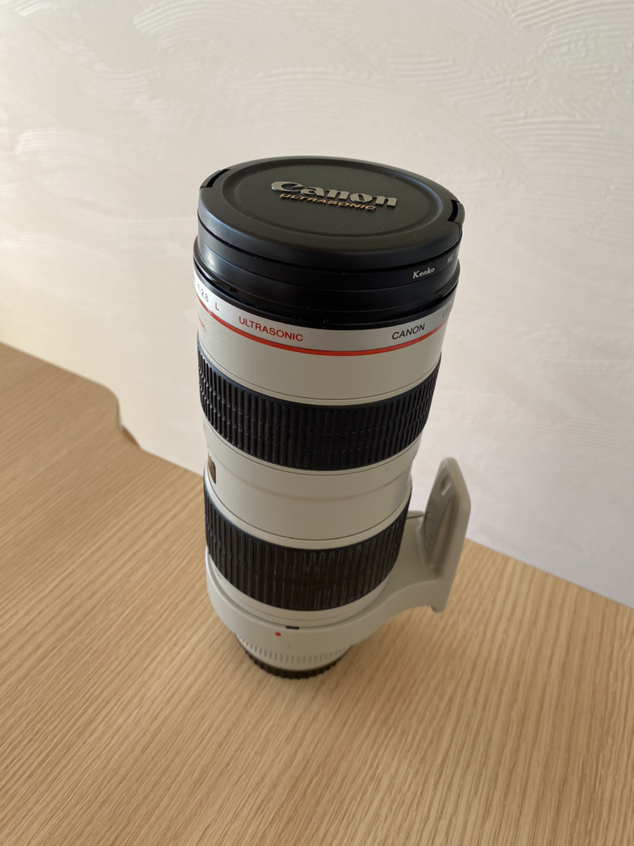 外観綺麗! 色ノリ抜群！ボケ感最高！ Canon ZOOM LENS EF 24-70mm 1