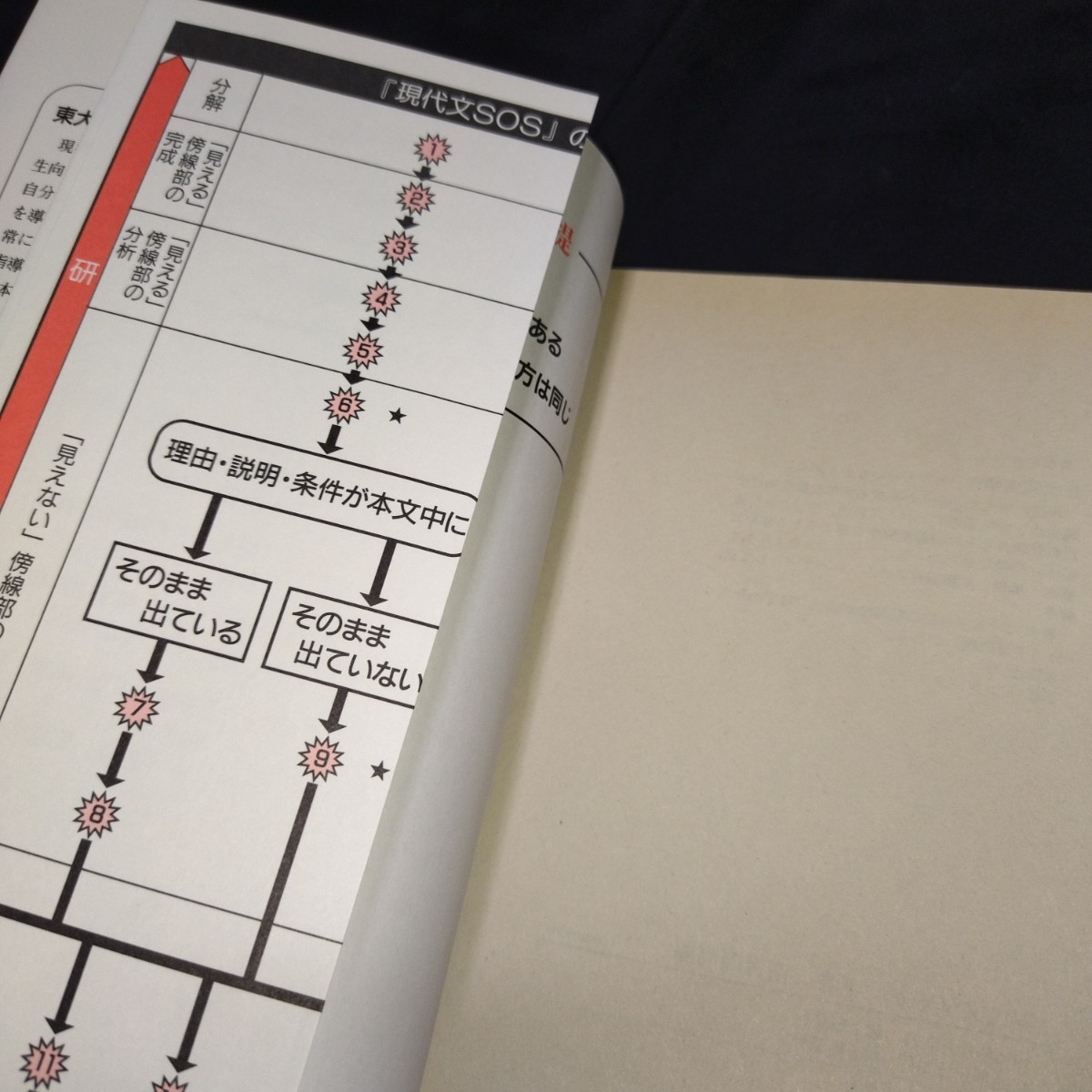 現代文SOS 下巻 誰も書かなかった驚異の現代文突破法 演習問題編 東大 