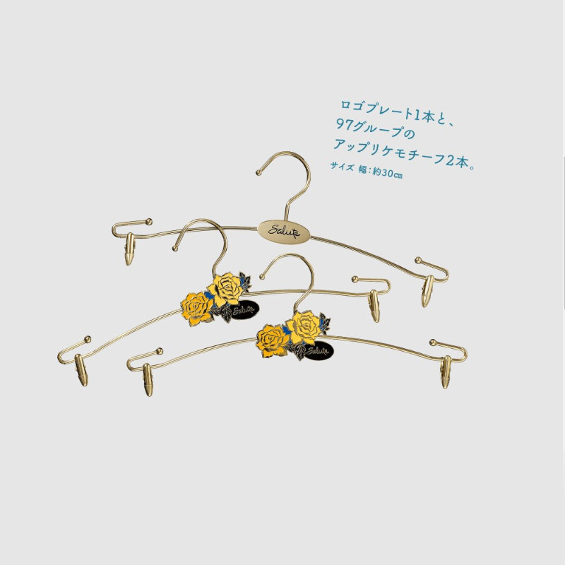 1円スタート ワコール サルート Salute ランジェリーハンガー