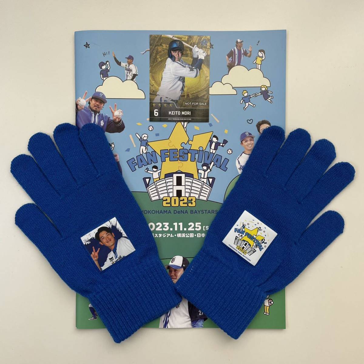 横浜DeNAベイスターズ ファンフェスティバル2023 パンフレット 手袋 