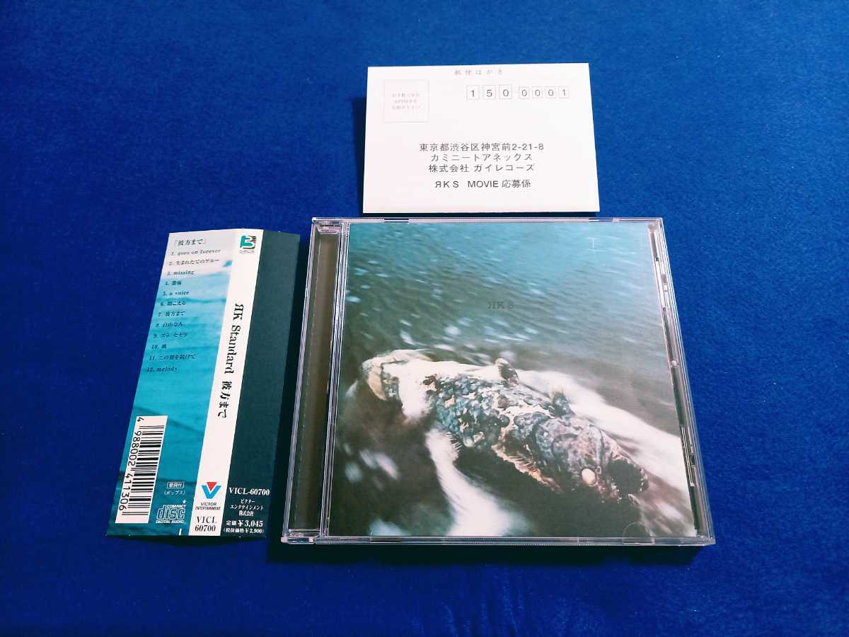 ☆帯付!!☆ ЯK Standard / 彼方まで アルバム CD 全12曲 ハガキ付