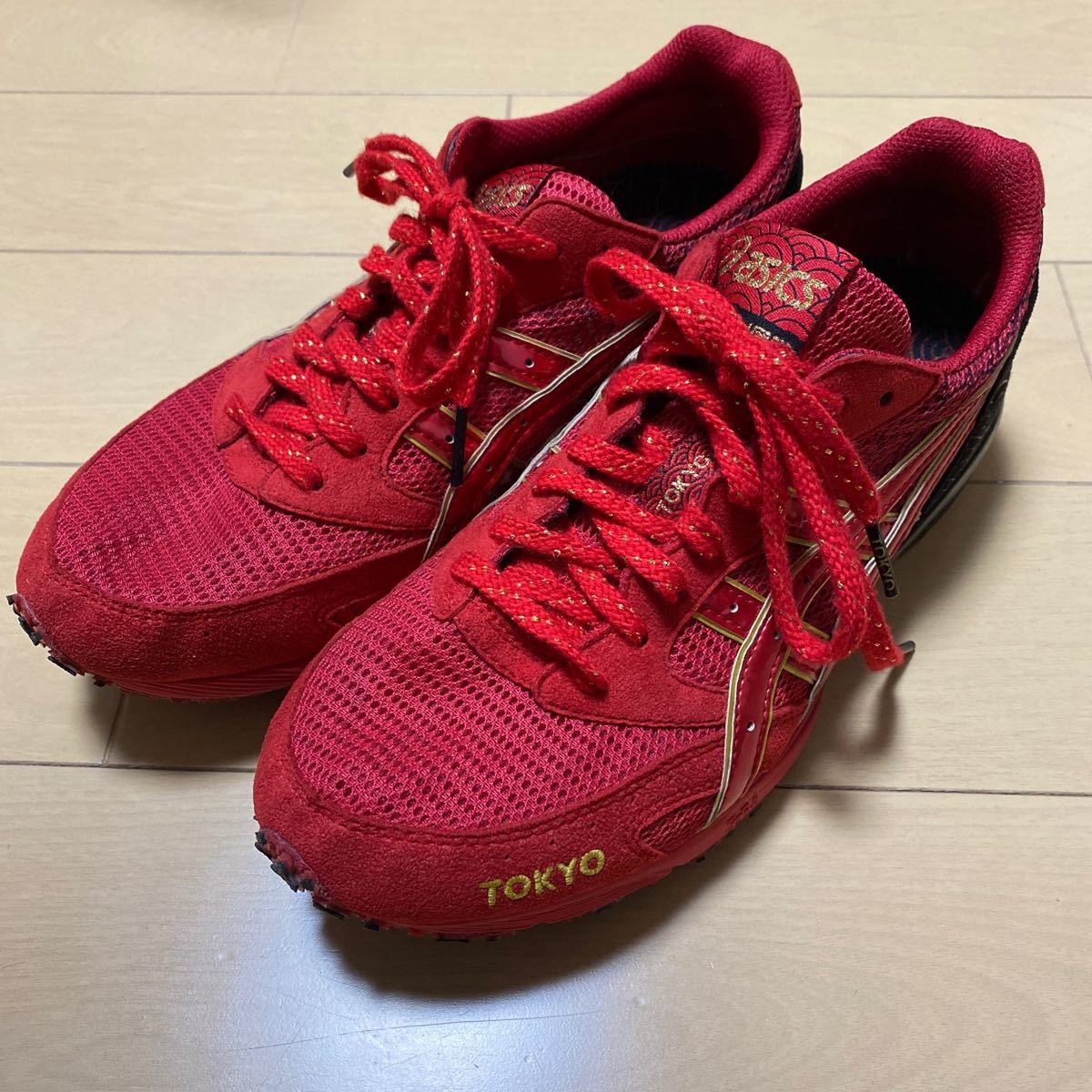 ASICS アシックス ランニングシューズ　ターサージール　ジャパンTOKYO 25.0cm 1013A058