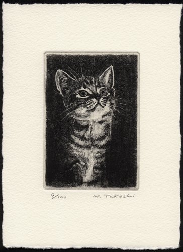 見上げる子猫・A/銅版画・エッチング/新品、作品のみ 【公式通販】