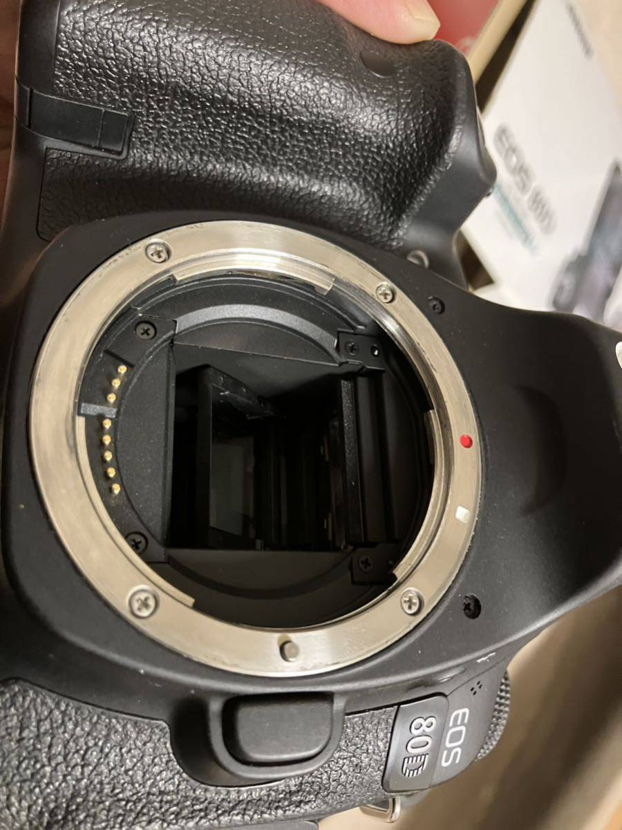 EOS 80D ダブルズームレンズセット カメラ、光学機器 家電、AV、カメラ