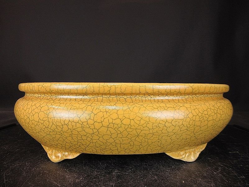 【盆栽 樂屋】◆相羽鴻陽 黄貫入釉袋式楕円鉢 B4 (人気釉薬作家)(中品盆栽鉢)(未使用品)◆12/18