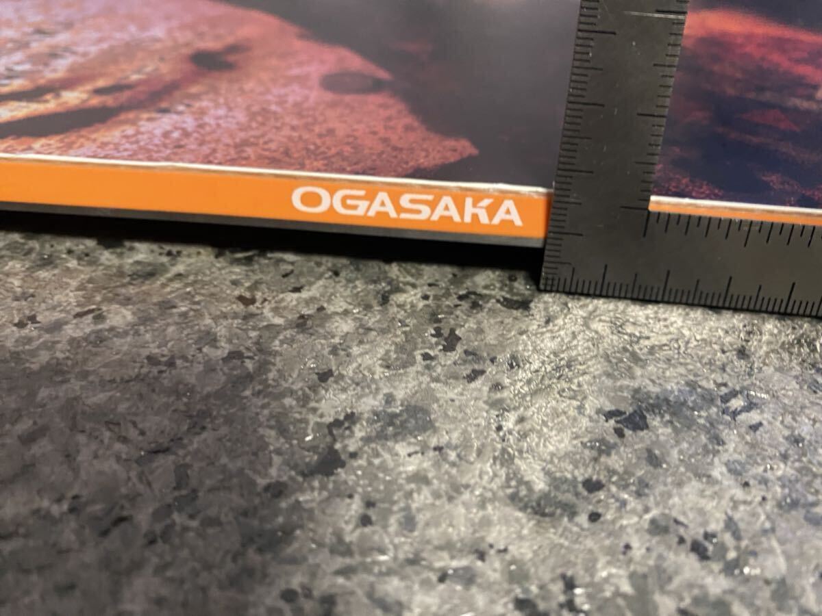 OGASAKA CT -L 154 限定モデル オガサカ - オガサカ オガサカCT 154 