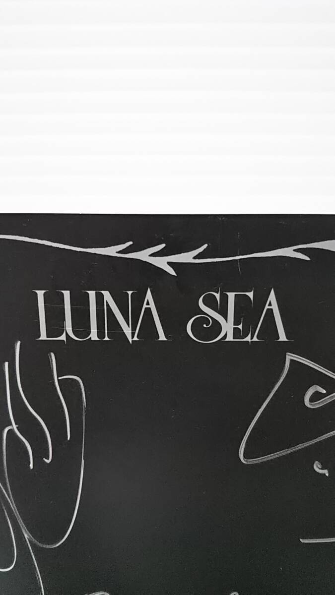 204 直筆サイン色紙 ☆ルナシー/LUNA SEA/メンバー全員分☆ 1992年/MCA