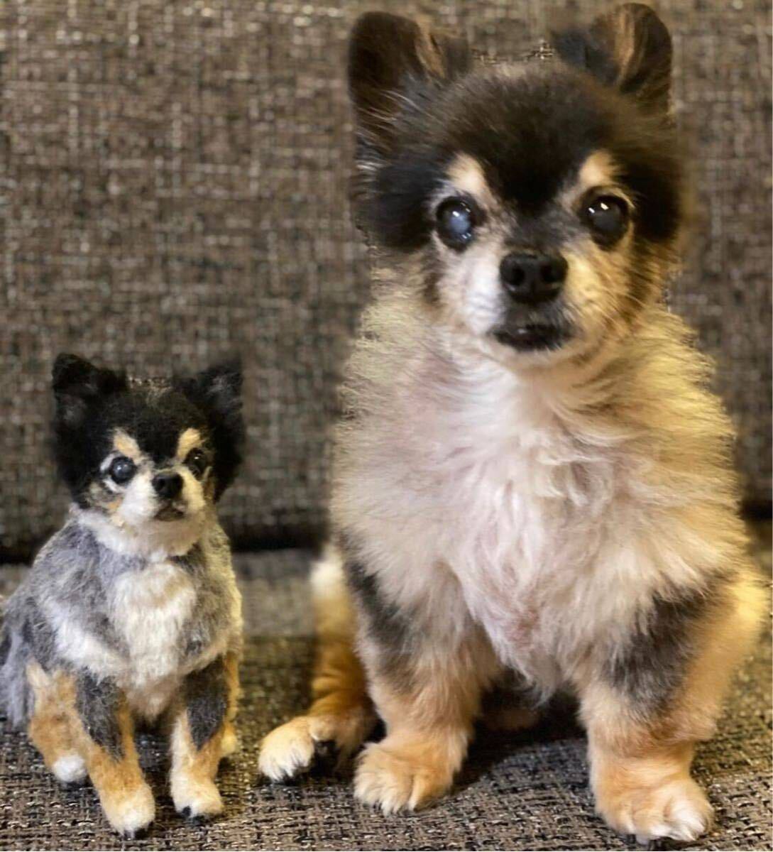 羊毛フェルト 犬 愛犬のオーダー制作を承ります (制作者は、わたわた