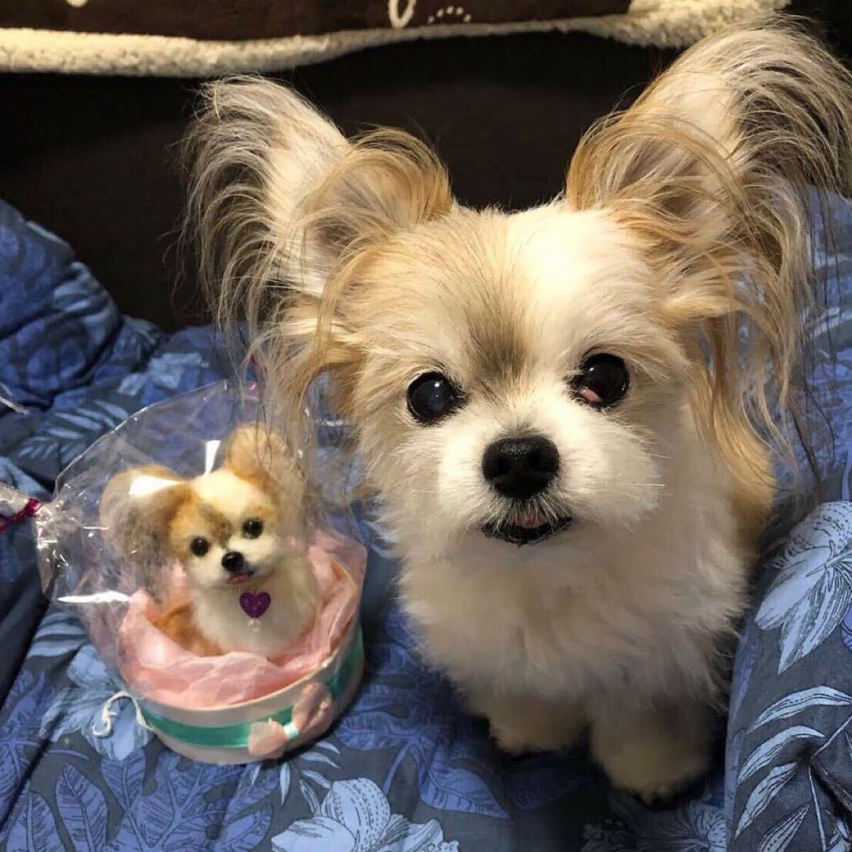 羊毛フェルト 犬 愛犬のオーダー制作を承ります (制作者は、わたわた