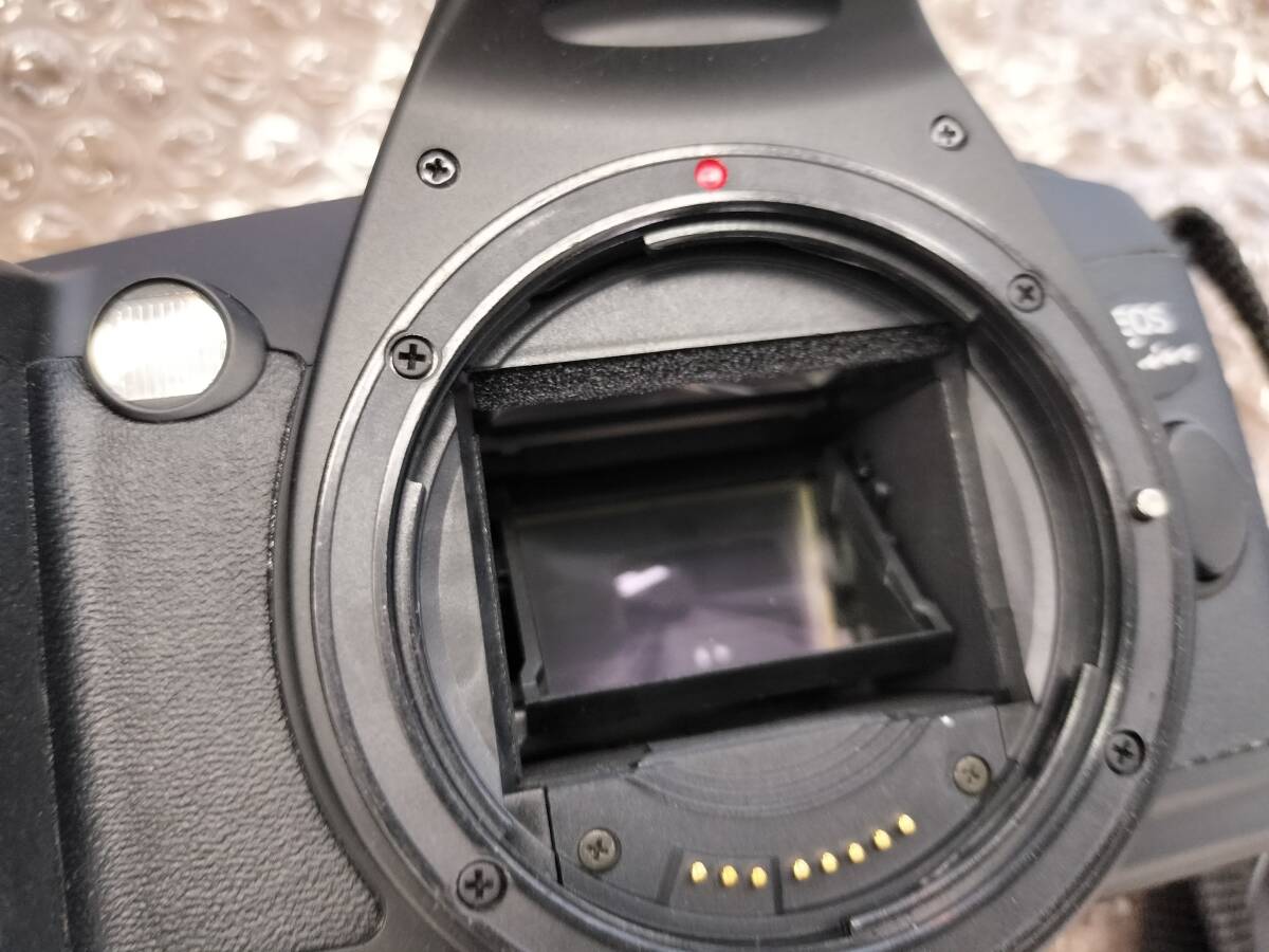 キャノンカメラ NEW EOS Kiss EOS Canon Kiss WIDE 28mm⁄1.8）動く