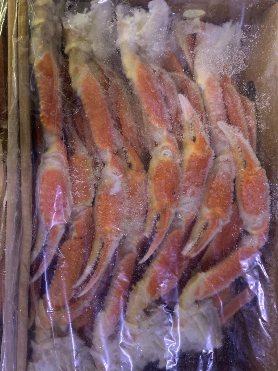 ボイルズ本ワイガニ　5L　５kg　_2