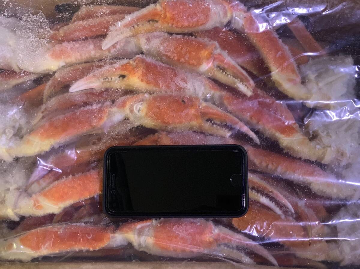 ボイルズ本ワイガニ　5L　５kg　_3