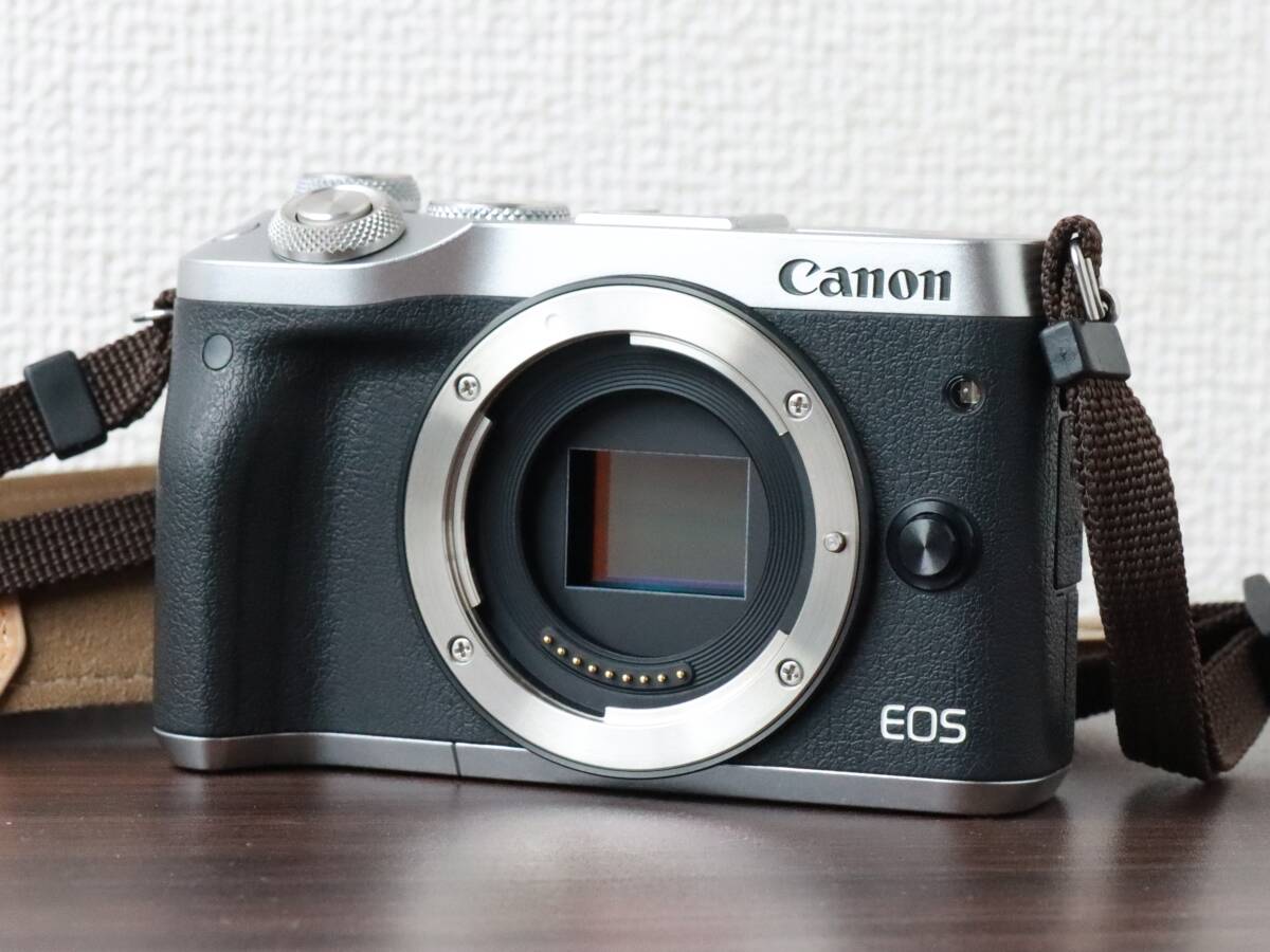 M6 EOS Canon ミラーレス一眼カメラ EF-M15-45 レンズキット STM IS 