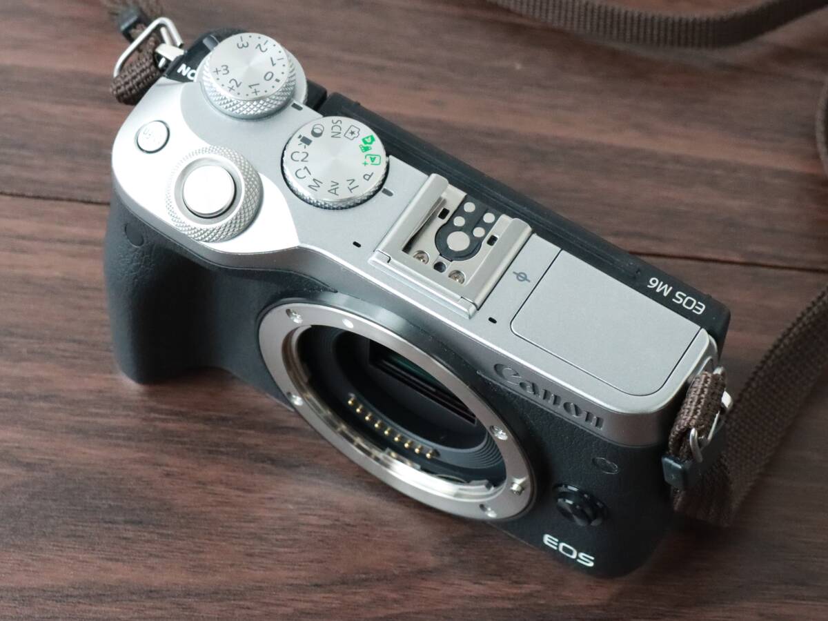 M6 EOS Canon ミラーレス一眼カメラ EF-M15-45 レンズキット STM IS 