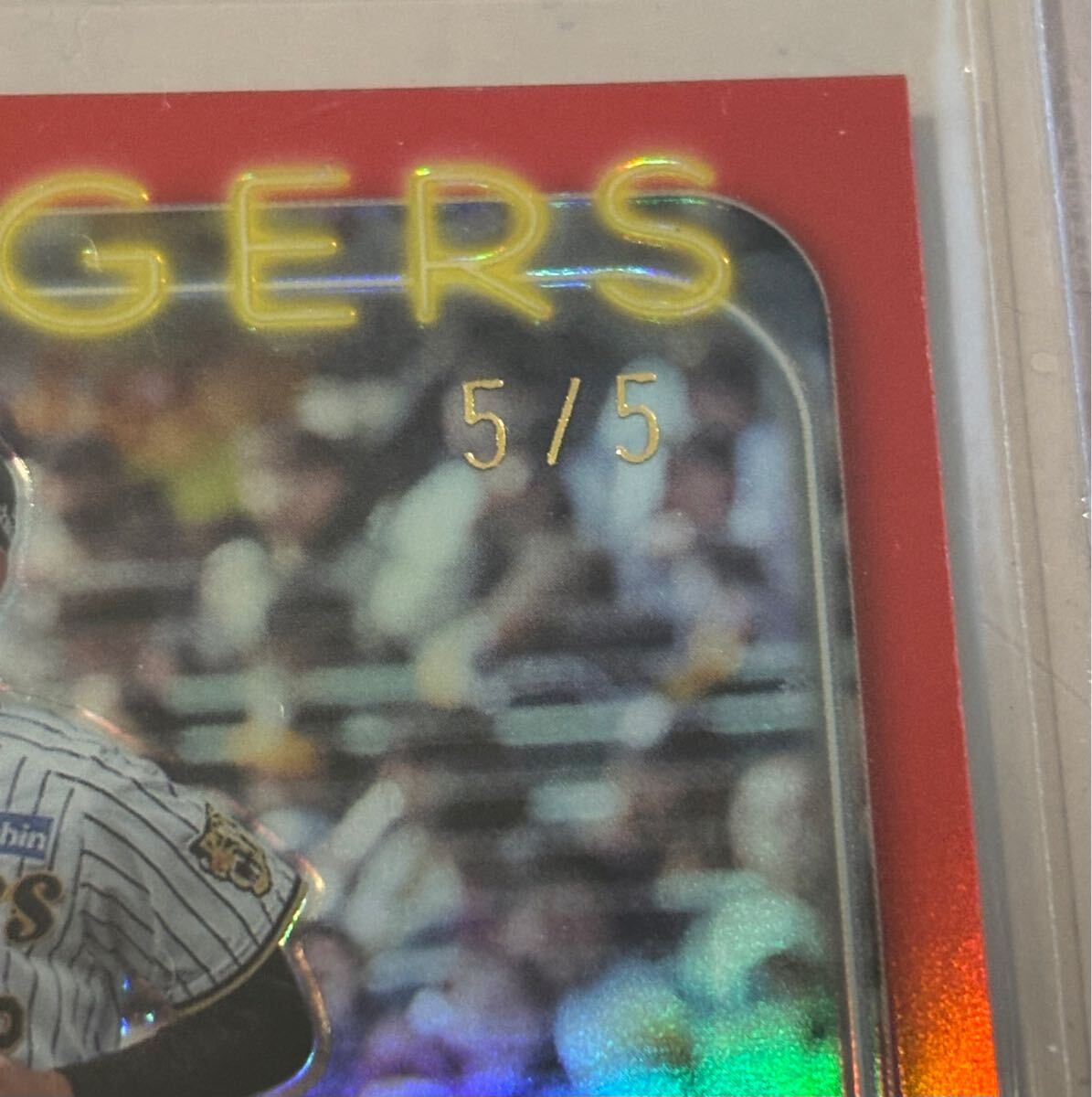 5枚限定 山田 脩也 選手　 Topps NPB Chrome 2024 RC ルーキーカード　5枚限定 RED Refractor 阪神タイガース 仙台育英　ラストナンバー 