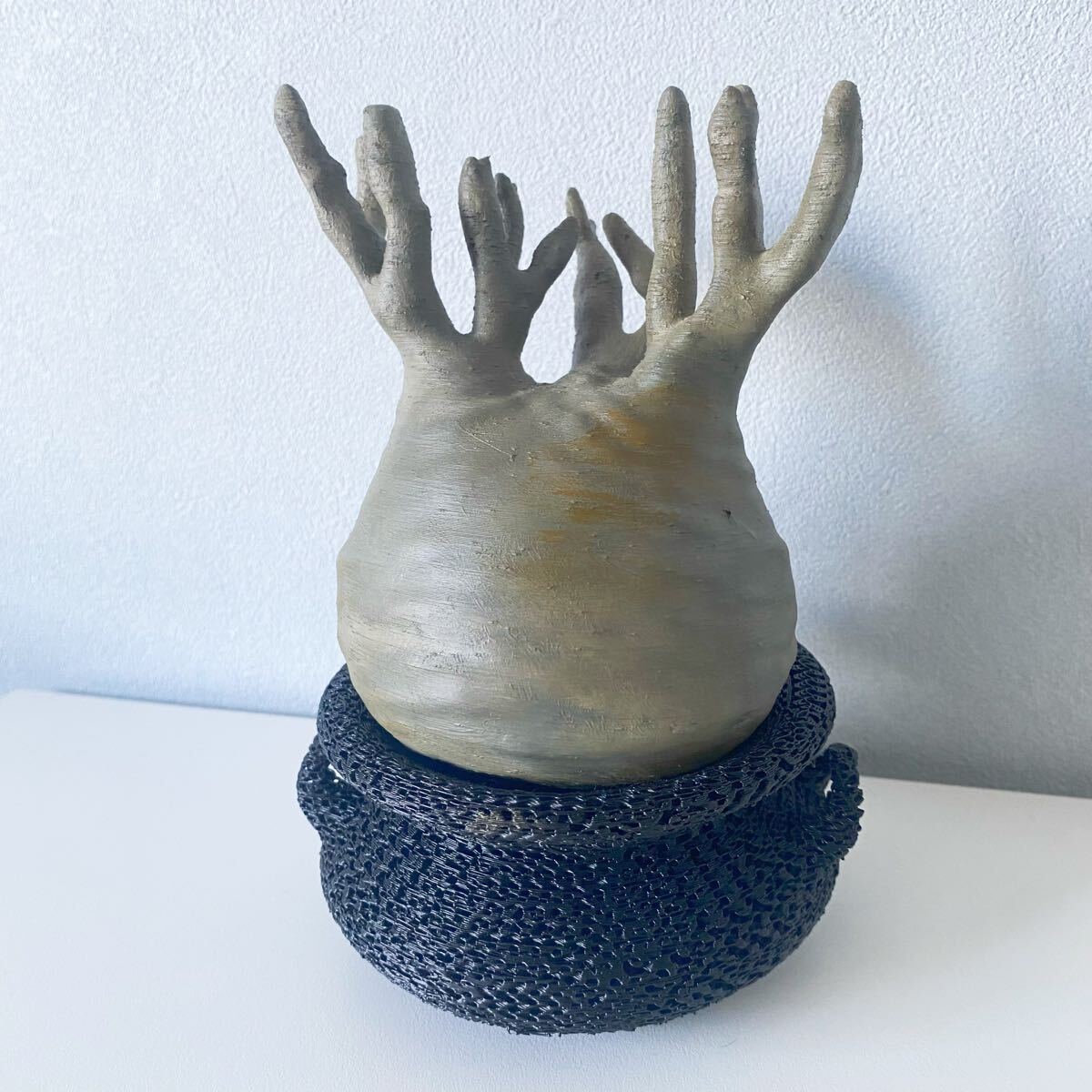 超絶美形】鉢付き 枯れない塊根植物 137パキポディウム グラキリス