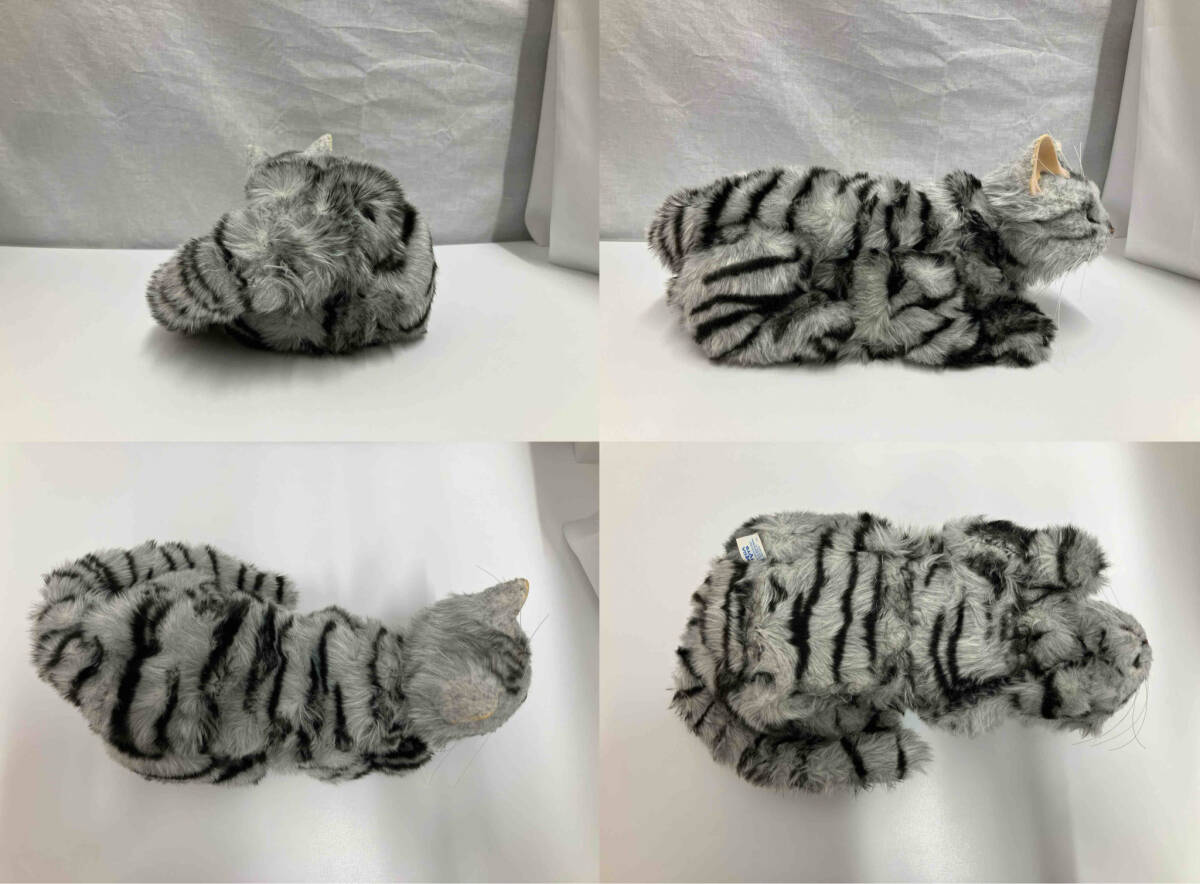 夢ねこ アメリカンショートヘア(ネコ一般)｜売買されたオークション