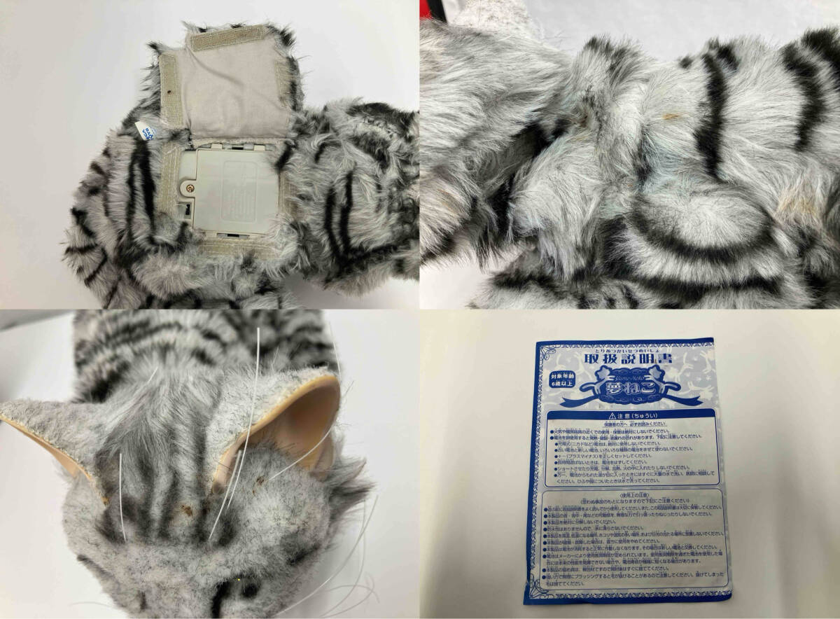 夢ねこ アメリカンショートヘア(ネコ一般)｜売買されたオークション