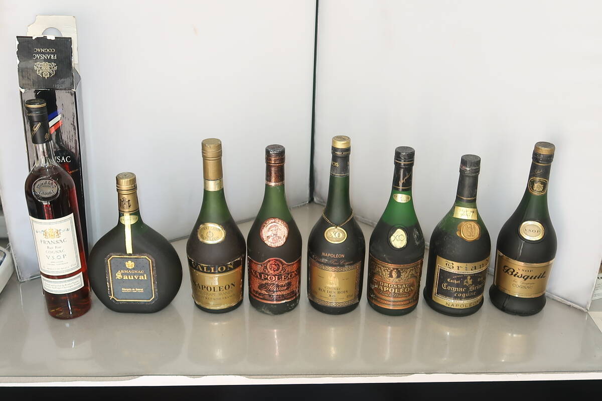 未開栓 古酒 ブランデー ウイスキー その6 ナポレオン CAMUSなど 1円 4 