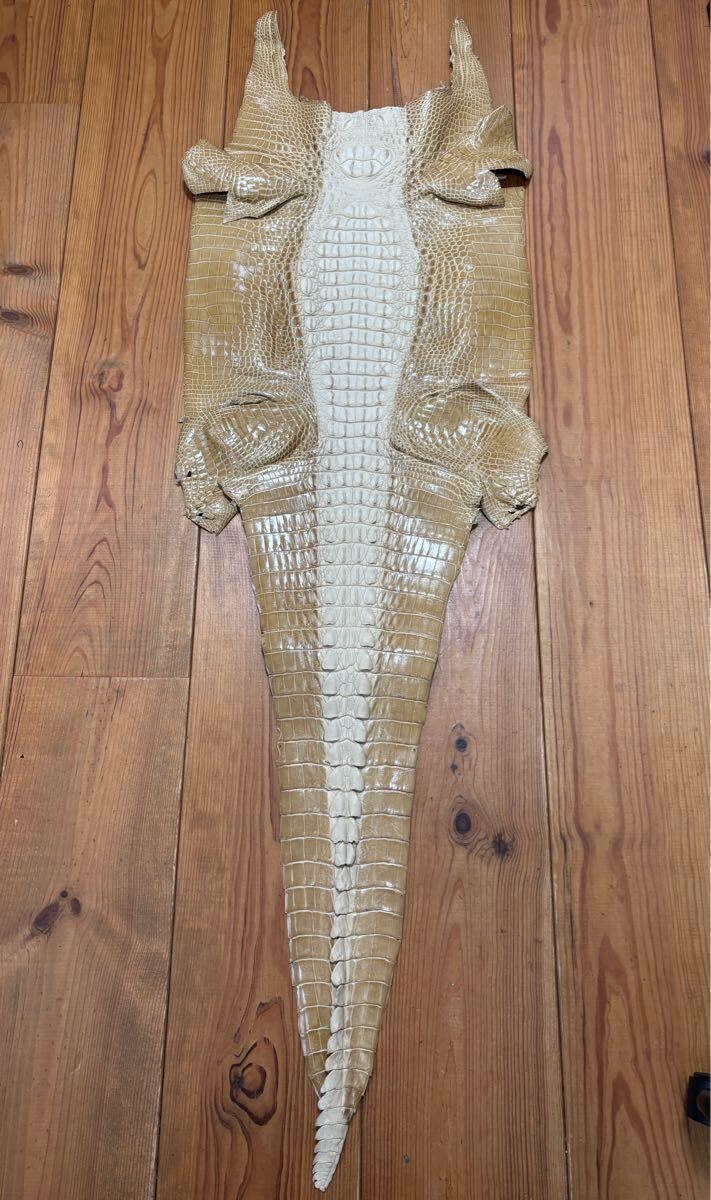 1円スタート！　売り切り　クロコダイル　ホーンバック　ベージュ　クリーム色　ワニ革　横幅44cm レザークラフト　革細工　国内生産_1