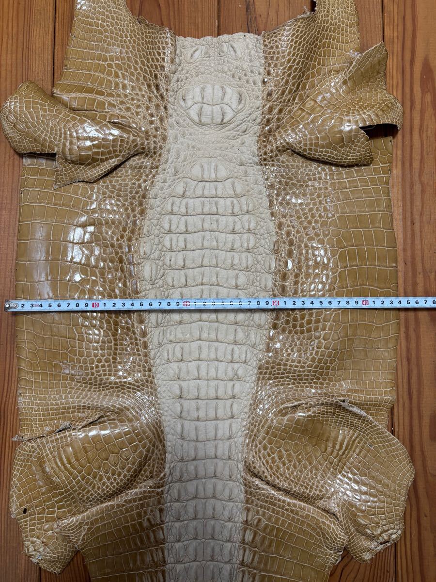 1円スタート！　売り切り　クロコダイル　ホーンバック　ベージュ　クリーム色　ワニ革　横幅44cm レザークラフト　革細工　国内生産_3