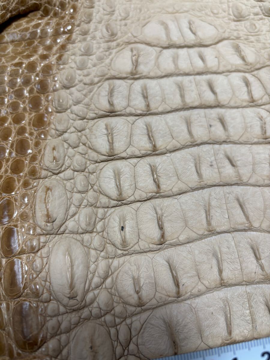 1円スタート！　売り切り　クロコダイル　ホーンバック　ベージュ　クリーム色　ワニ革　横幅44cm レザークラフト　革細工　国内生産_4