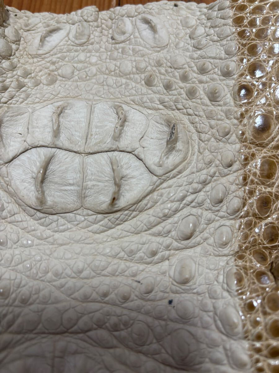 1円スタート！　売り切り　クロコダイル　ホーンバック　ベージュ　クリーム色　ワニ革　横幅44cm レザークラフト　革細工　国内生産_5