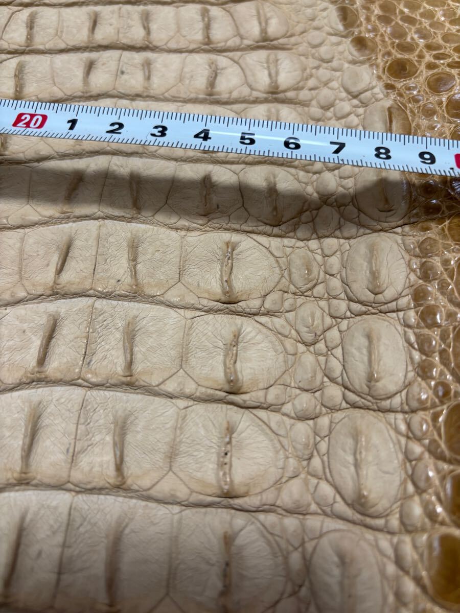 1円スタート！　売り切り　クロコダイル　ホーンバック　ベージュ　クリーム色　ワニ革　横幅44cm レザークラフト　革細工　国内生産_6